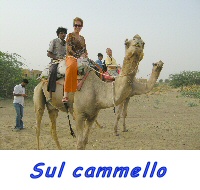 cammelli
